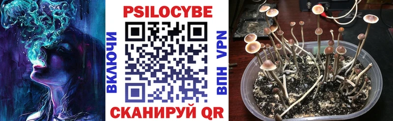дарнет шоп Верхнеуральск hydra ССЫЛКА Галлюциногенные грибы Psilocybine cubensis